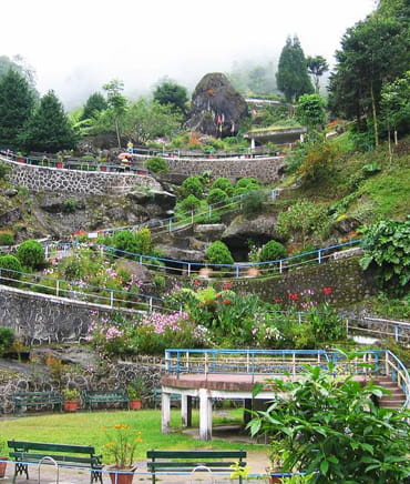 Rock Garden